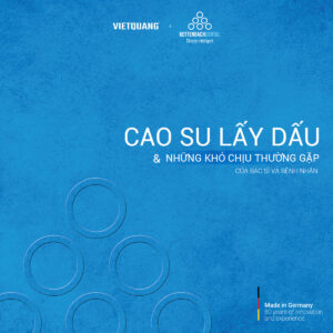 cao su lấy dấu