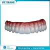 Bộ sản phẩm tạo màu và độ bóng Artamic Stain Glaze BSM chính hãng cho Labo nha khoa